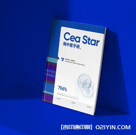 商業(yè)研發(fā)手冊設(shè)計(jì)印刷  第2張